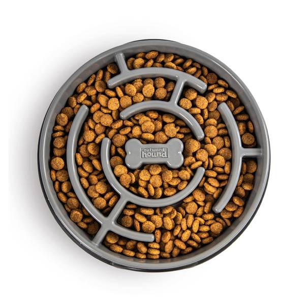 Photo of Fun Feeder Maze