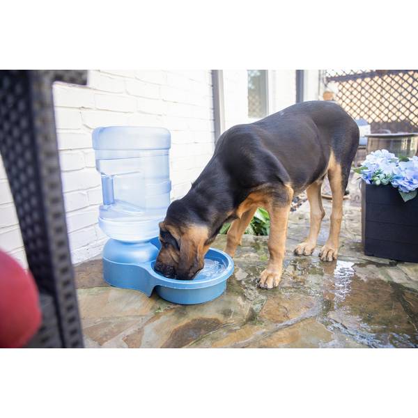 best purina pro plan dry dog food Purina Pro Plan Adult Small Breed Formula Dry Dog Food  Concord Pet Foods  & Supplies| Delaware, Pennsylvania, New Jersey, Maryland