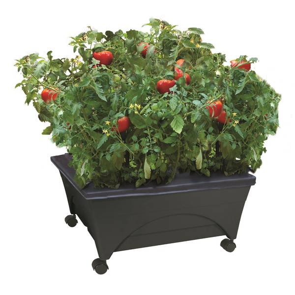 City Picker City Picker Raised Bed Grow Box - Self Watering
