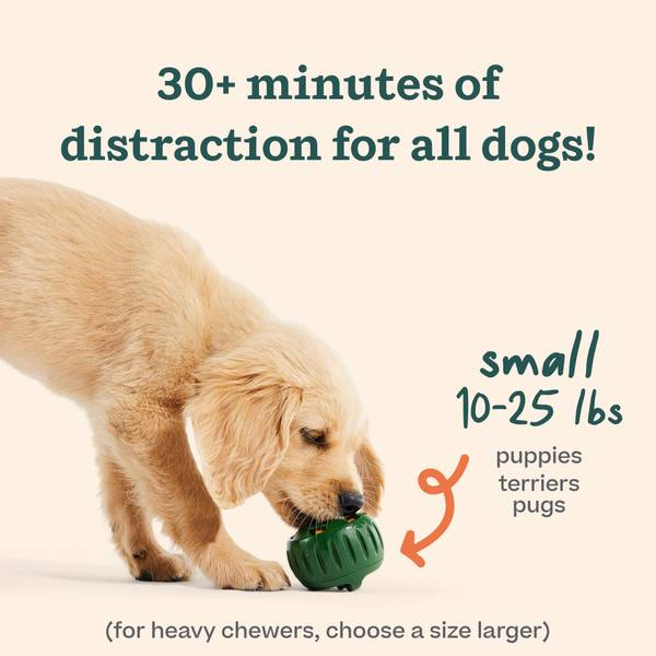 【 dog.woof  】 Woof Dog Products - The Amazing Pupsicle