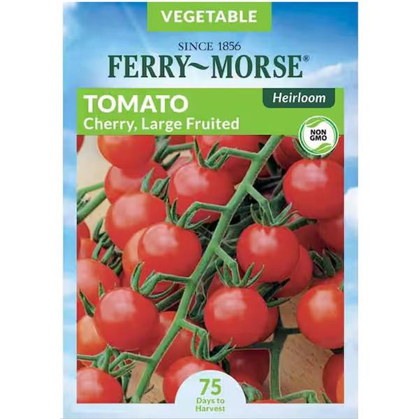 Photo of Large Red Cherry Tomato HEIRLOOM