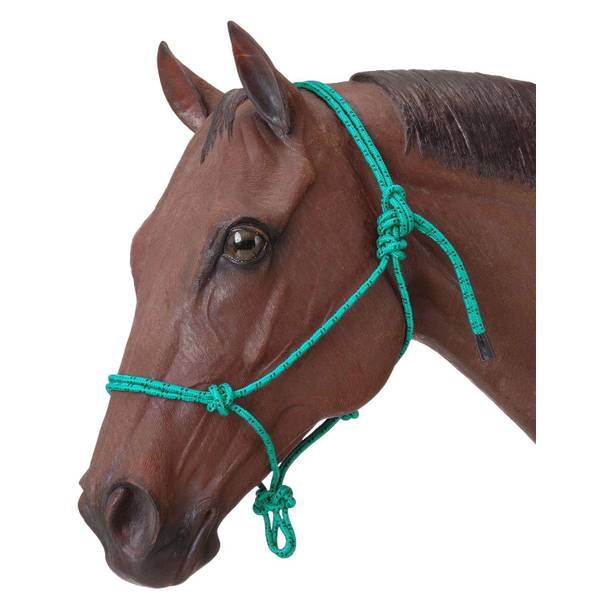Photo of Poly Rope Halter, Horse, Turquoise