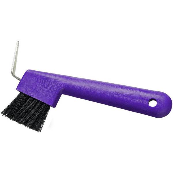 Photo of Hoof Pick/Brush Combination