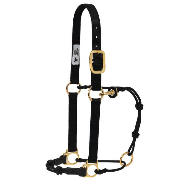 Photo of Horseman's Halter
