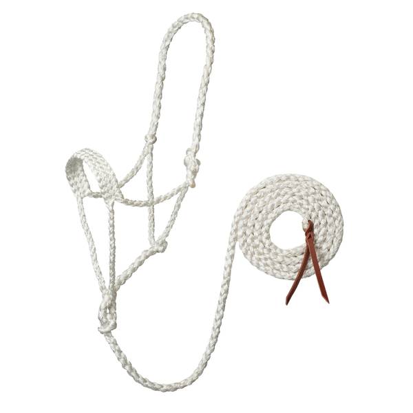 Photo of Braided Horse Rope Halter with 10' Lead