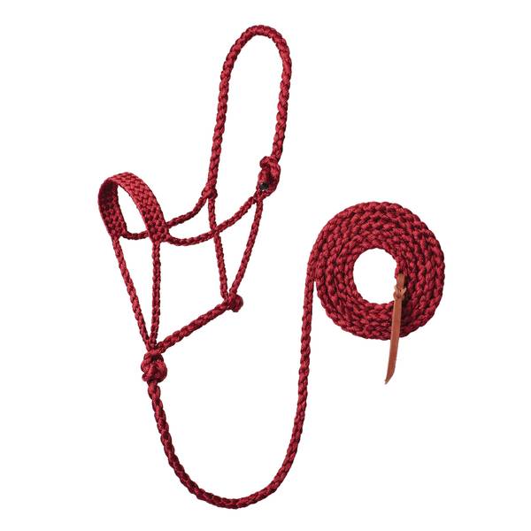 Photo of Braided Rope Halter with 10' Lead