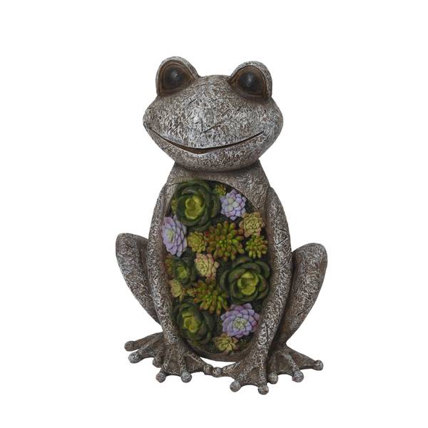 Photo of 18.3 Inch Polyresin Frog Figurine with Succulent Plant Display