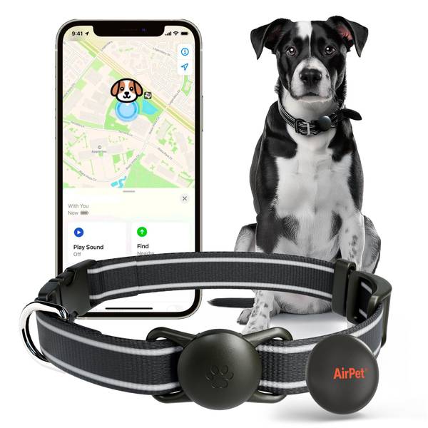 Photo of Locator Tag & Collar Holder for Pets