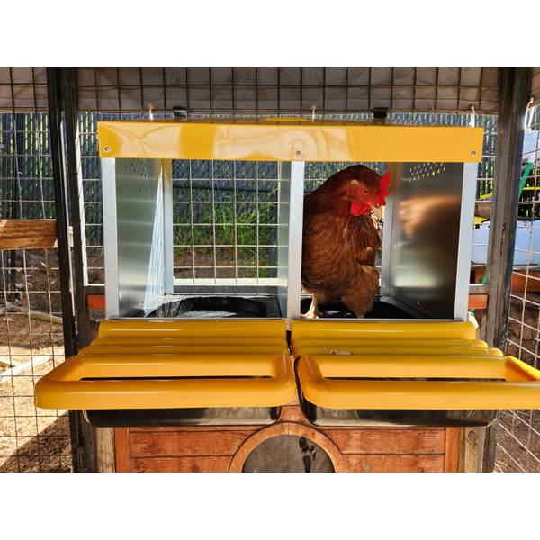 RUGG'egg'RANCH Roll Back 2 Hole Nesting Box - ROLLBK2HNB | Blain's