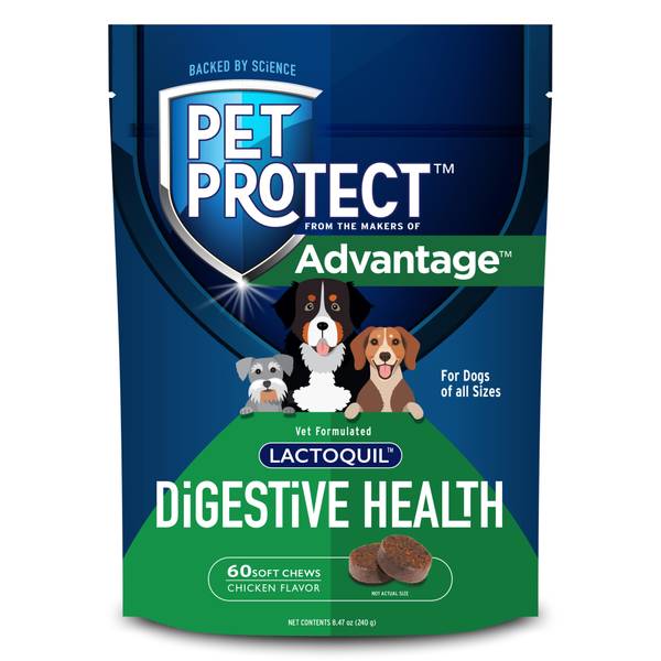 UPC 727804001520 product image for Elanco Pet Protect Lactoquil Digestive Health Probiotic Chicken Flavored Soft Ch | upcitemdb.com