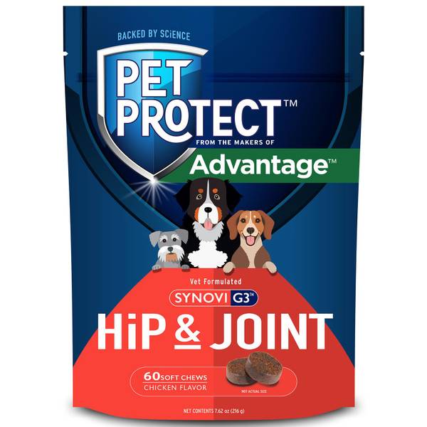 UPC 727804001445 product image for Elanco Pet Protect Hip & Joint Chews, 60-Count | upcitemdb.com
