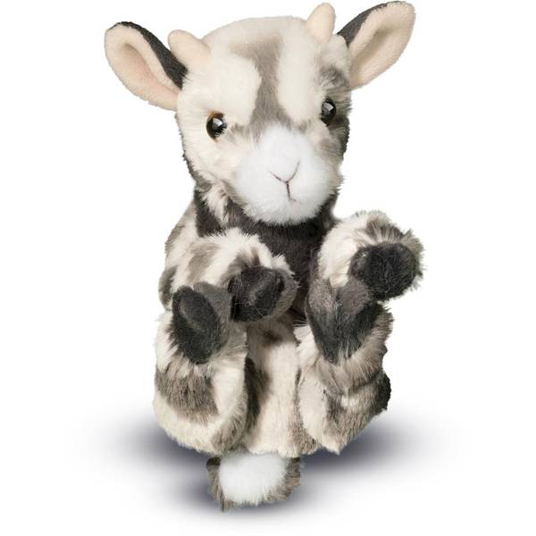 Photo of Lil' Baby Goat