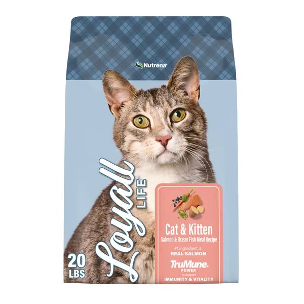Photo of Cat & Kitten Salmon & Ocean Fish Meal Recipe, 20 lb