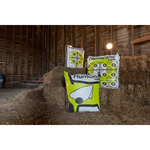 Hurricane Hurricane H20 Archery Bag Target - H60450 | Blain's Farm