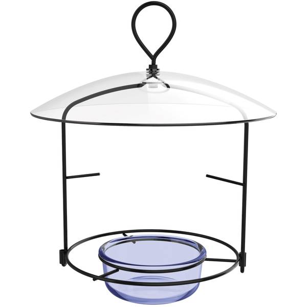 Photo of Metal Bluebird Buffet Bird Feeder 3/4 Cup, Blue