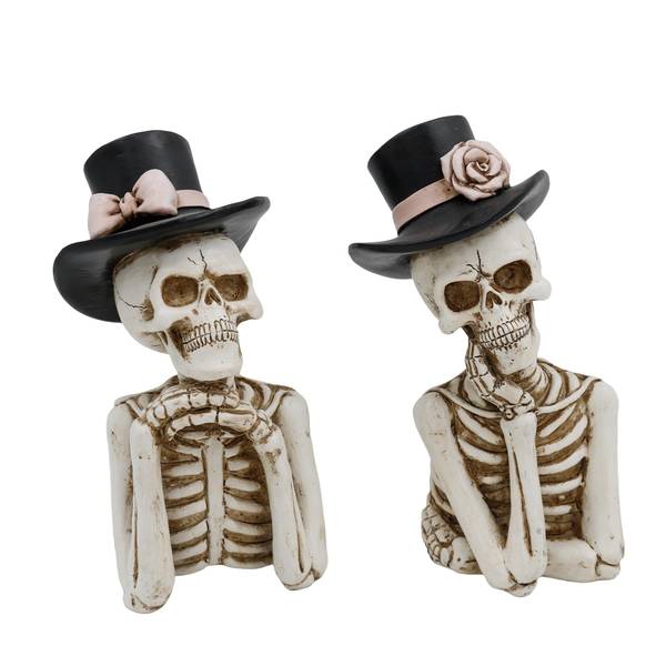 Photo of Set of 2 Boxed set of Skeletons