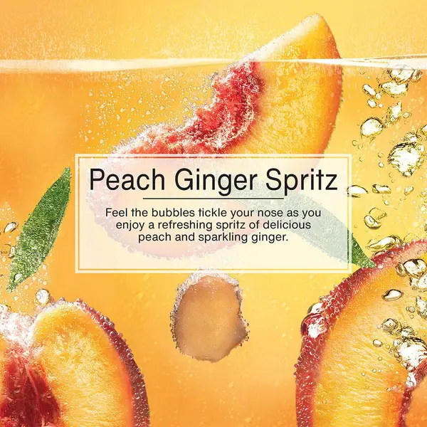 Little Trees Peach Ginger Spritz Tree, 3-Pack - U3S--37344