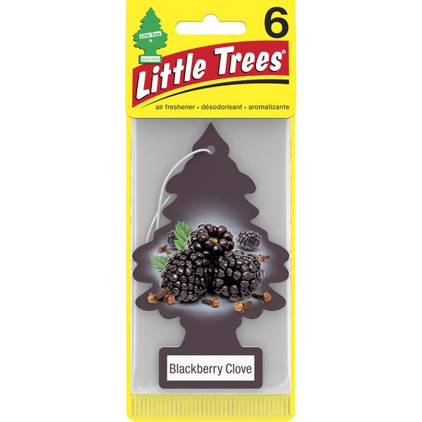 Photo of Blackberry Clove Tree, 6-Pack