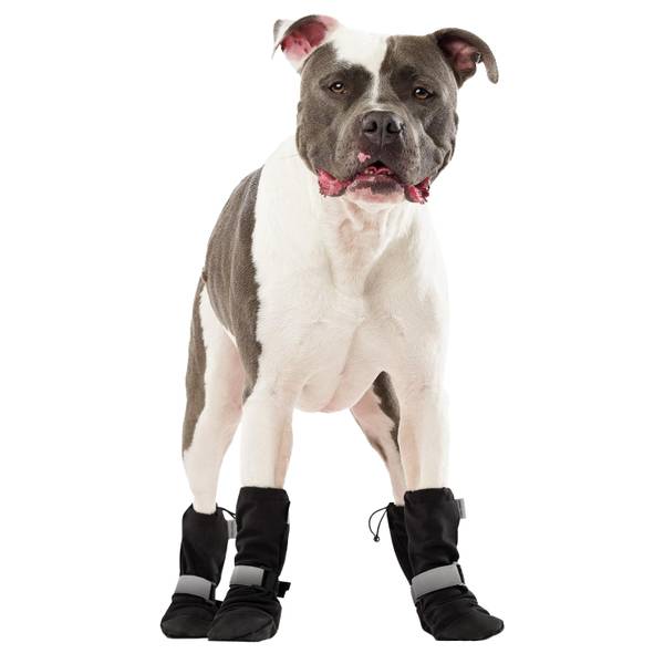 Photo of Soft Shield Dog Boots