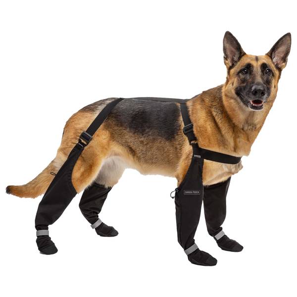 Photo of Suspender Dog Boots