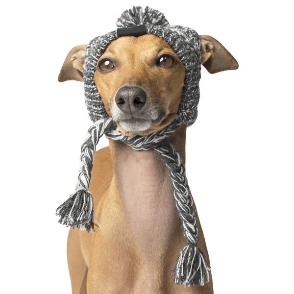 Photo of Polar Pom Pom Hat