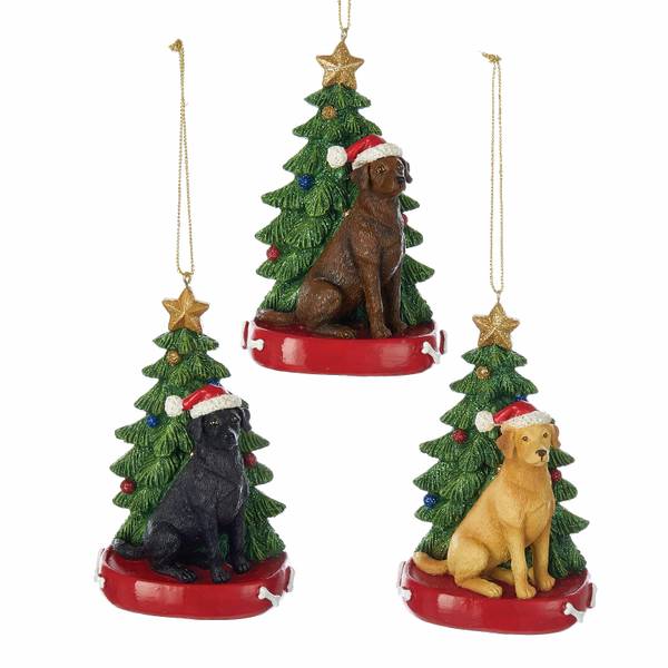 Photo of Labrador Retriever with Christmas Tree Assortment