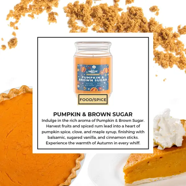Candle-Lite (1768) PUMPKIN & BROWN SUGAR - 46681768
