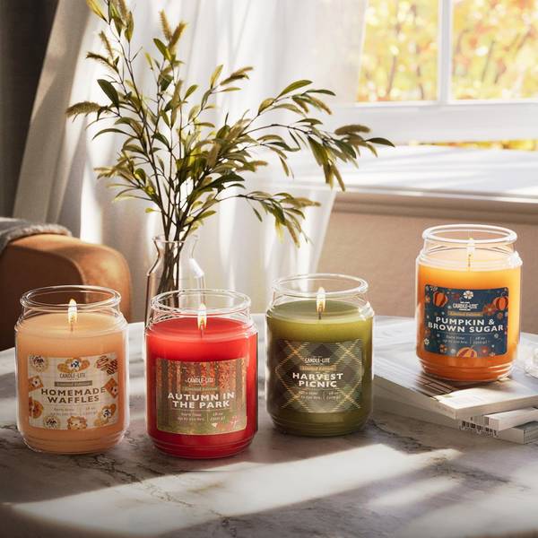すだちバーモンド Candle-Lite (1768) PUMPKIN & BROWN SUGAR - 46681768