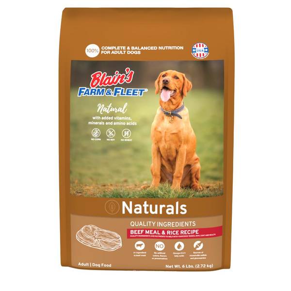 Photo of Beef Meal & Rice Recipe Dog Food, 6 lb
