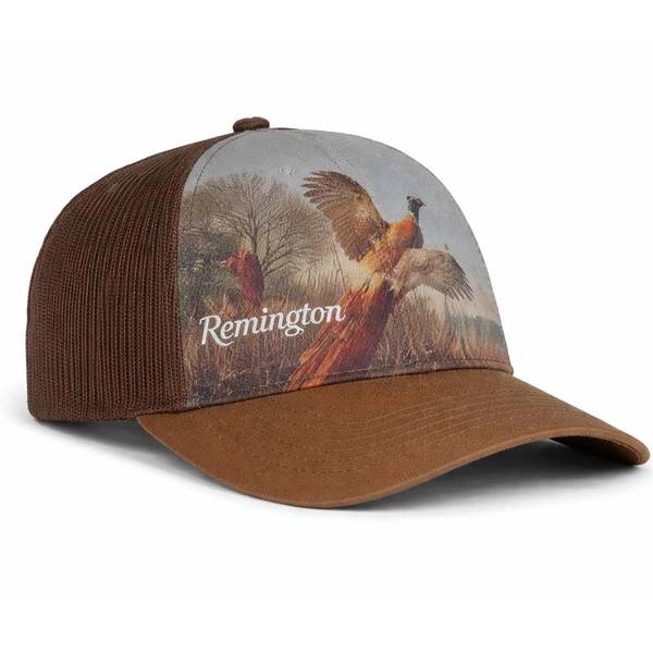 Photo of Remington Duck Image Cap