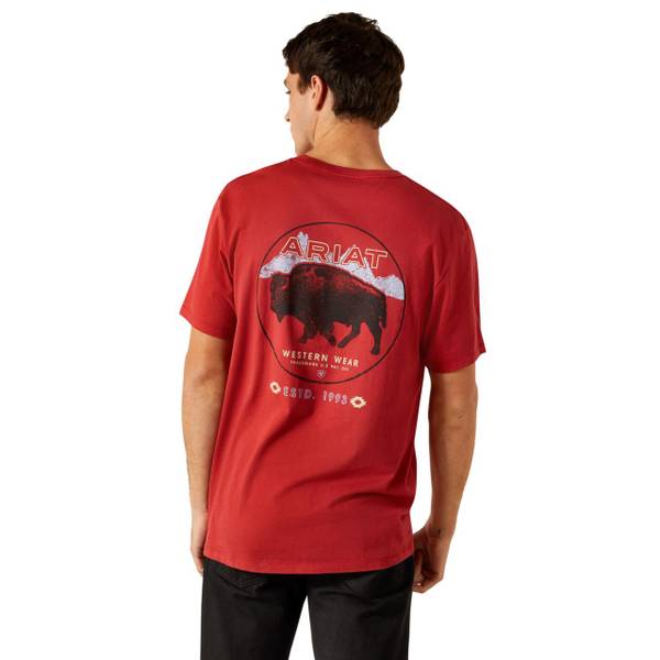 Photo of Men's Patriot Buffalo Coin Short Sleeve Graphic Tee