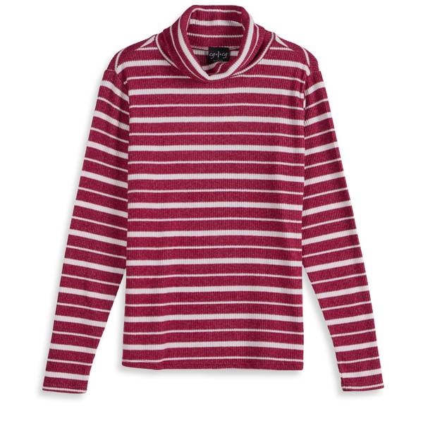 Photo of Women's Long Sleeve Turtleneck Stripe Top