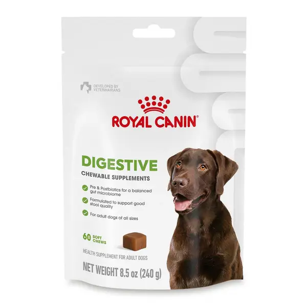 Royal Canin 8.47 oz Digestive Supplement Soft Dog Chews - 61876011