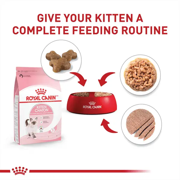 Royal Canin Feline Health Nutrition Kitten Canned Wet Cat Food