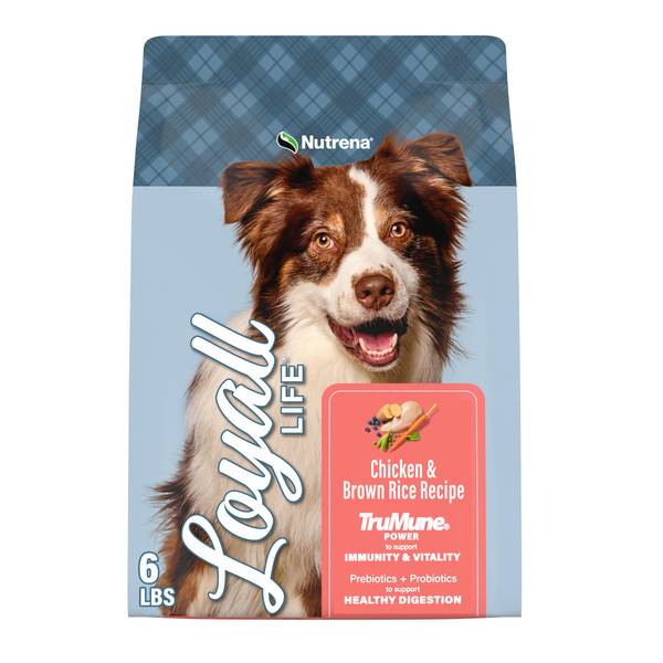 Photo of Chicken & Brown Rice Recipe All Life Stages Dog Food, 6 lb