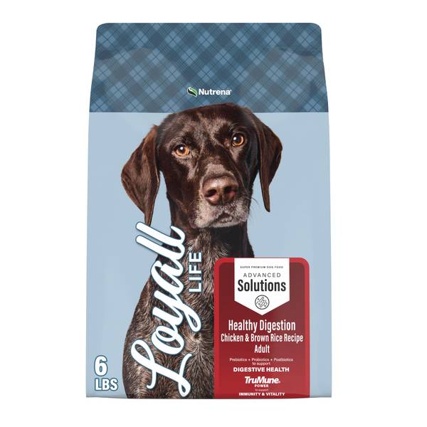 Photo of Advanced Solutions Healthy Digestion Chicken & Rice Recipe Adult Dog Food, 6 lb