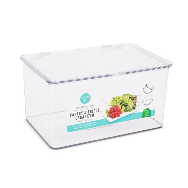 Photo of 10.04" x 6.5" x 5.31" Clear Organizer with Lid