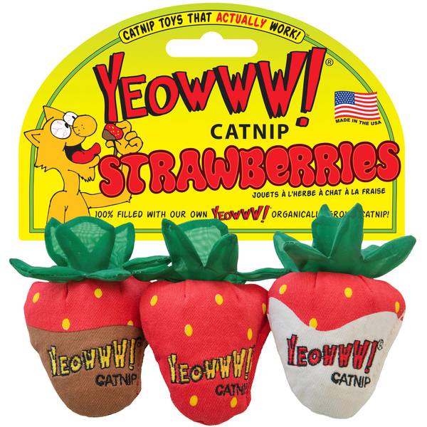 Photo of 3-Pack Strawberries Catnip Cat Toy