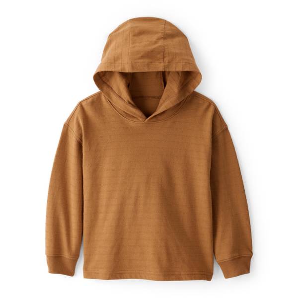 Photo of Toddler Boy's Cotton Long-Sleeve Hooded Top