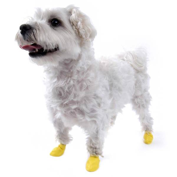PawZ XX-Small Yellow Rubber Dog Boots - 67300101 | Blain's Farm