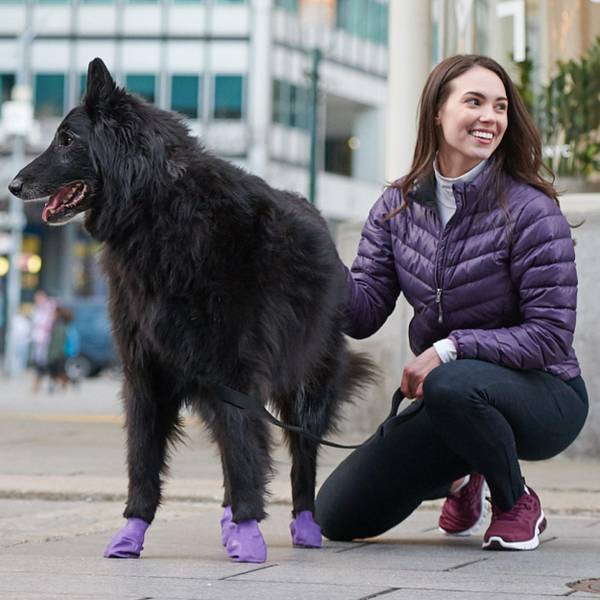PawZ Large Purple Rubber Dog Boots - 67300105 | Blain's Farm & Fleet
