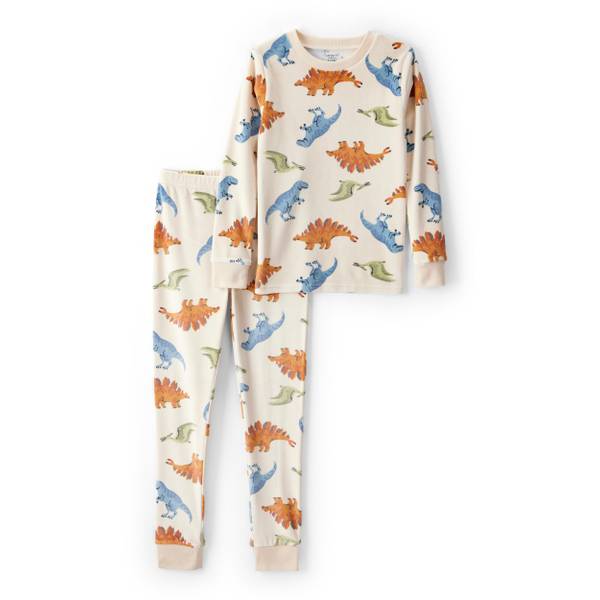 Photo of Boy's Dinosaur Print Velour Long-Sleeve Loose Fit 2-Piece Pajamas