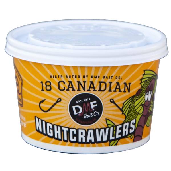 Photo of 18-Count Live Nightcrawlers