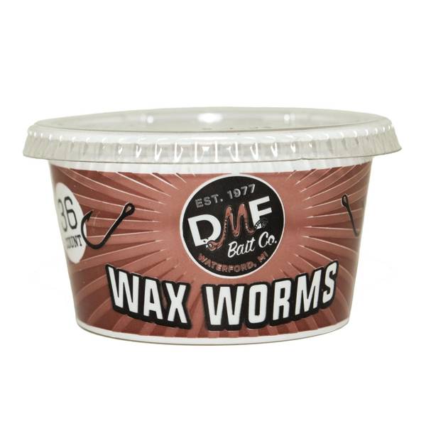 Photo of 36-Count Live Wax Worms