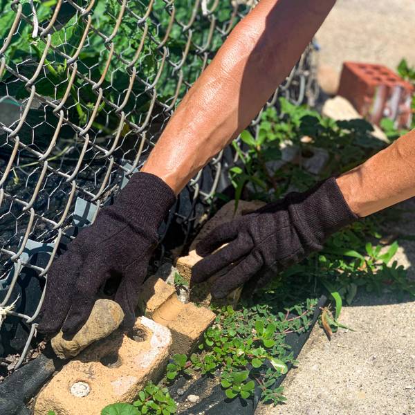 Photo of Economy Jersey Gloves 12 Pack