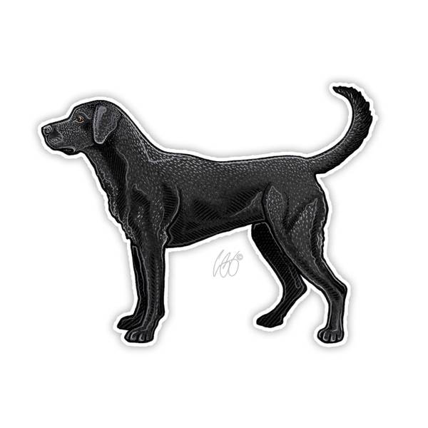 Photo of Black Lab Vinyl Decal