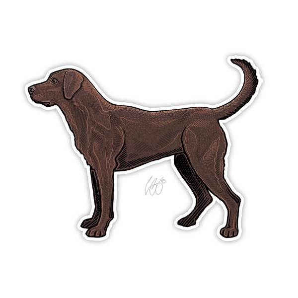 Photo of Chocolate Lab Vinyl Decal