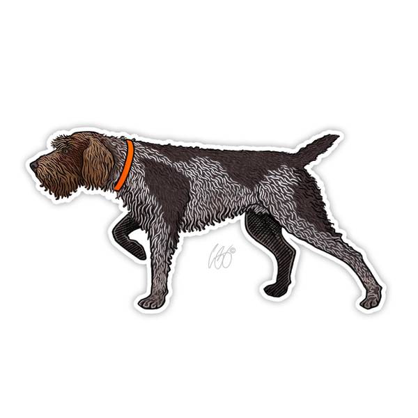 Photo of Wirehaired Pointing Griffon Vinyl Decal