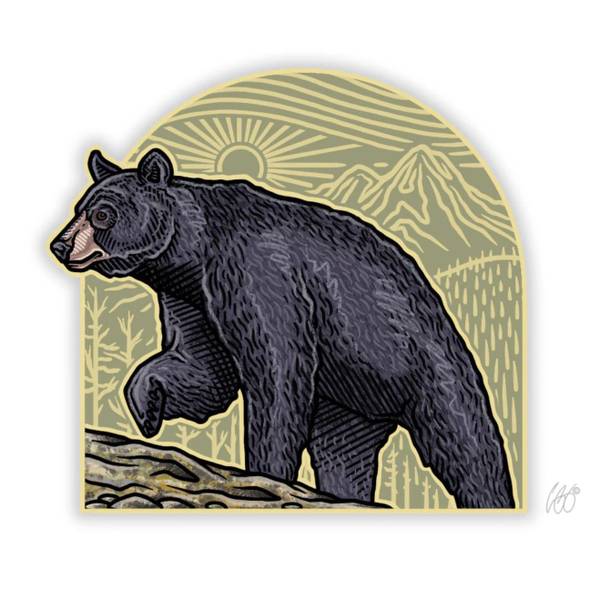 Photo of Black Bear Arch Vinyl Decal