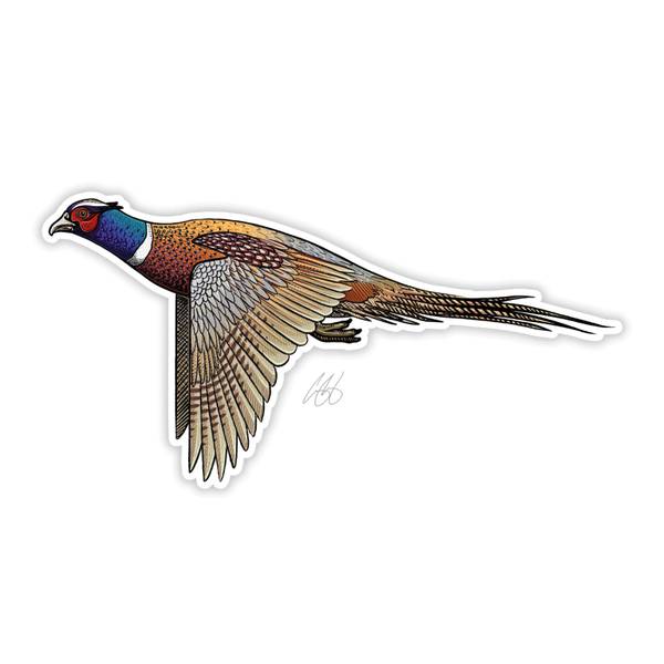 Photo of Ringneck Pheasant Vinyl Decal